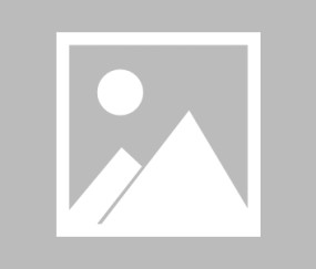 爱游戏-芝加哥公牛单刀错失备战意大利杯斯图加特豪取连胜备战英超，连对手都承认：冲刺阶段上海海港调整名单以备法国杯